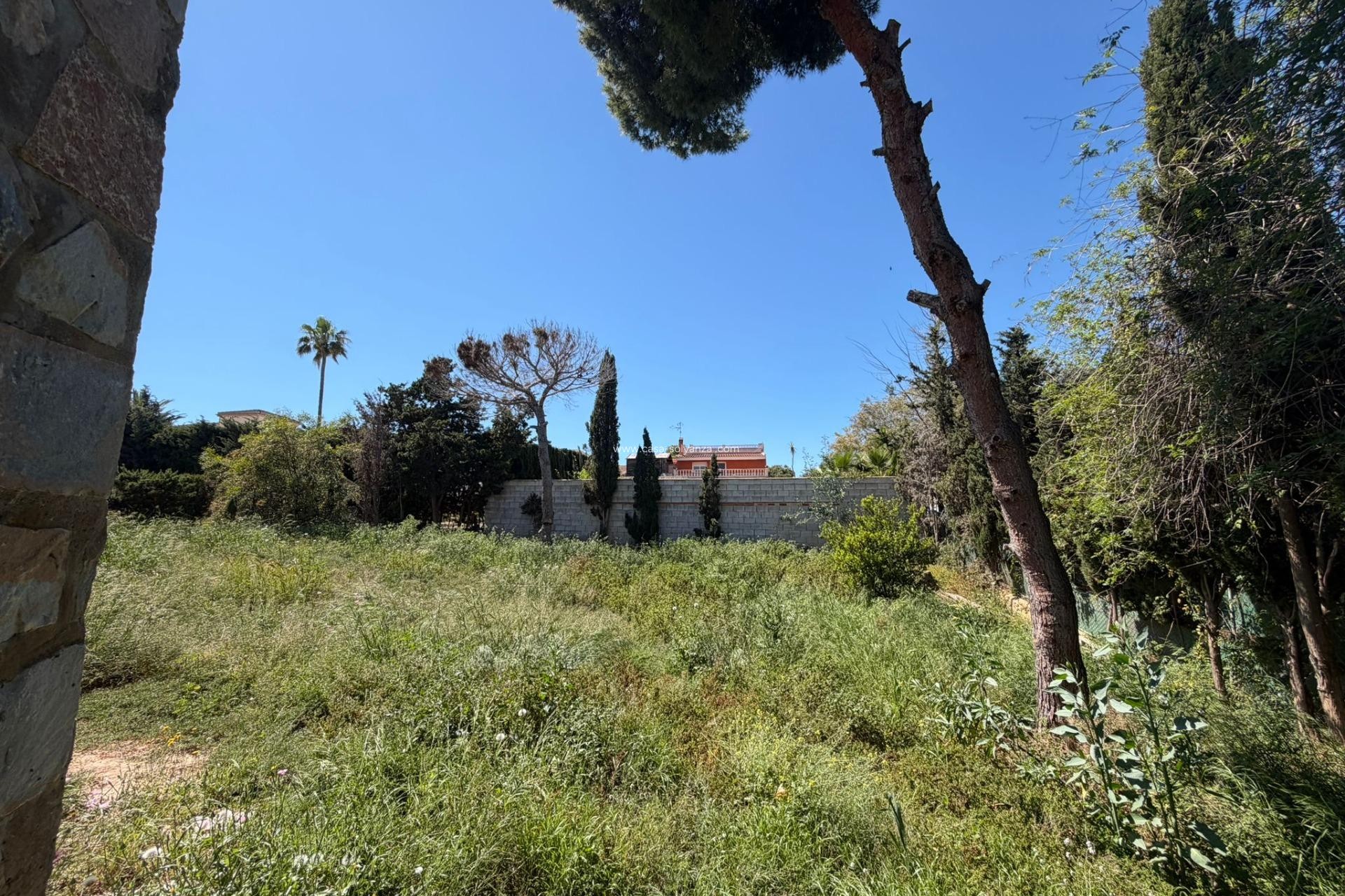 Wiederverkauf - Villa - Torrevieja - Los Balcones
