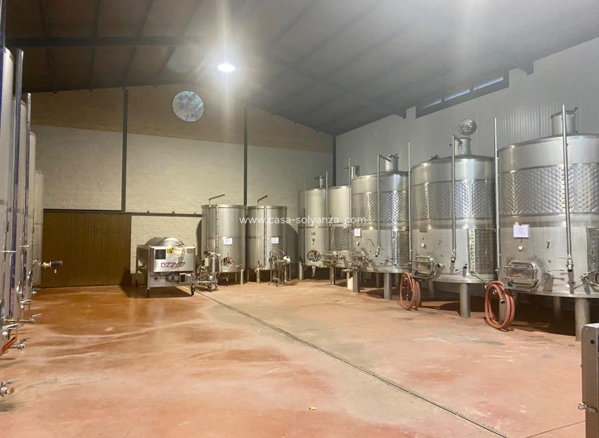 Wiederverkauf - wine cellar - Albacete