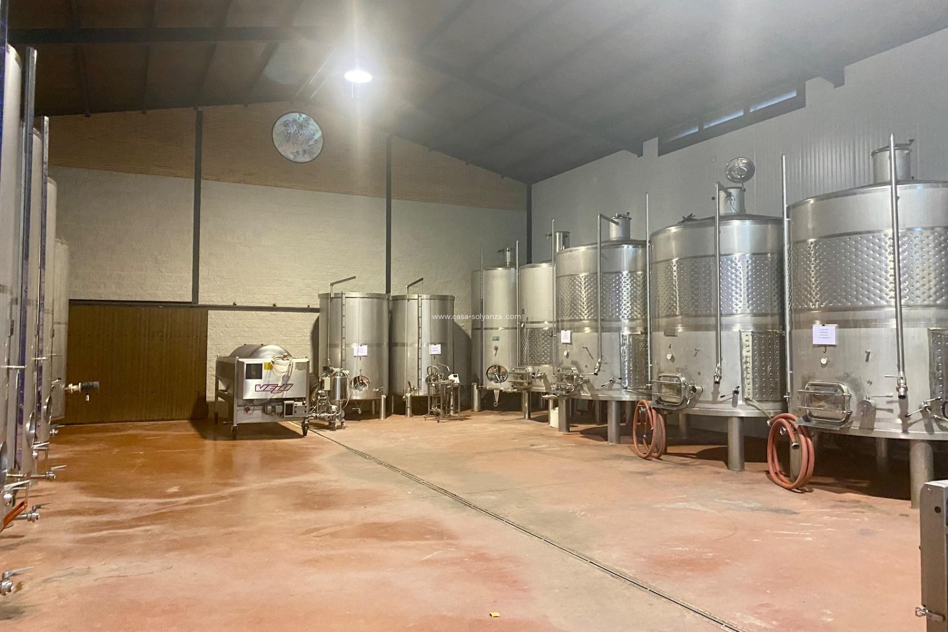 Wiederverkauf - wine cellar - Albacete