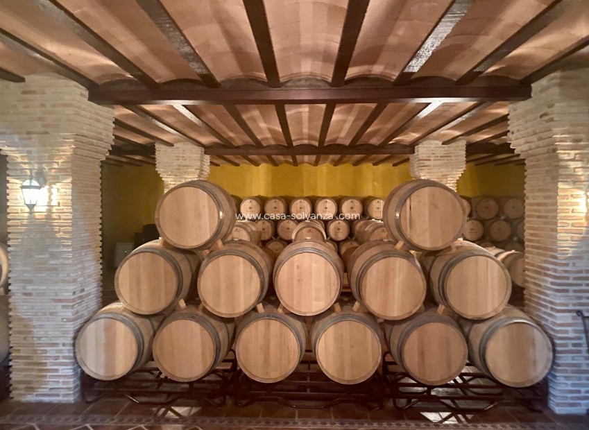 Wiederverkauf - wine cellar - Albacete