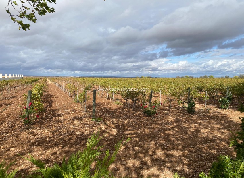 Wiederverkauf - wine cellar - Albacete