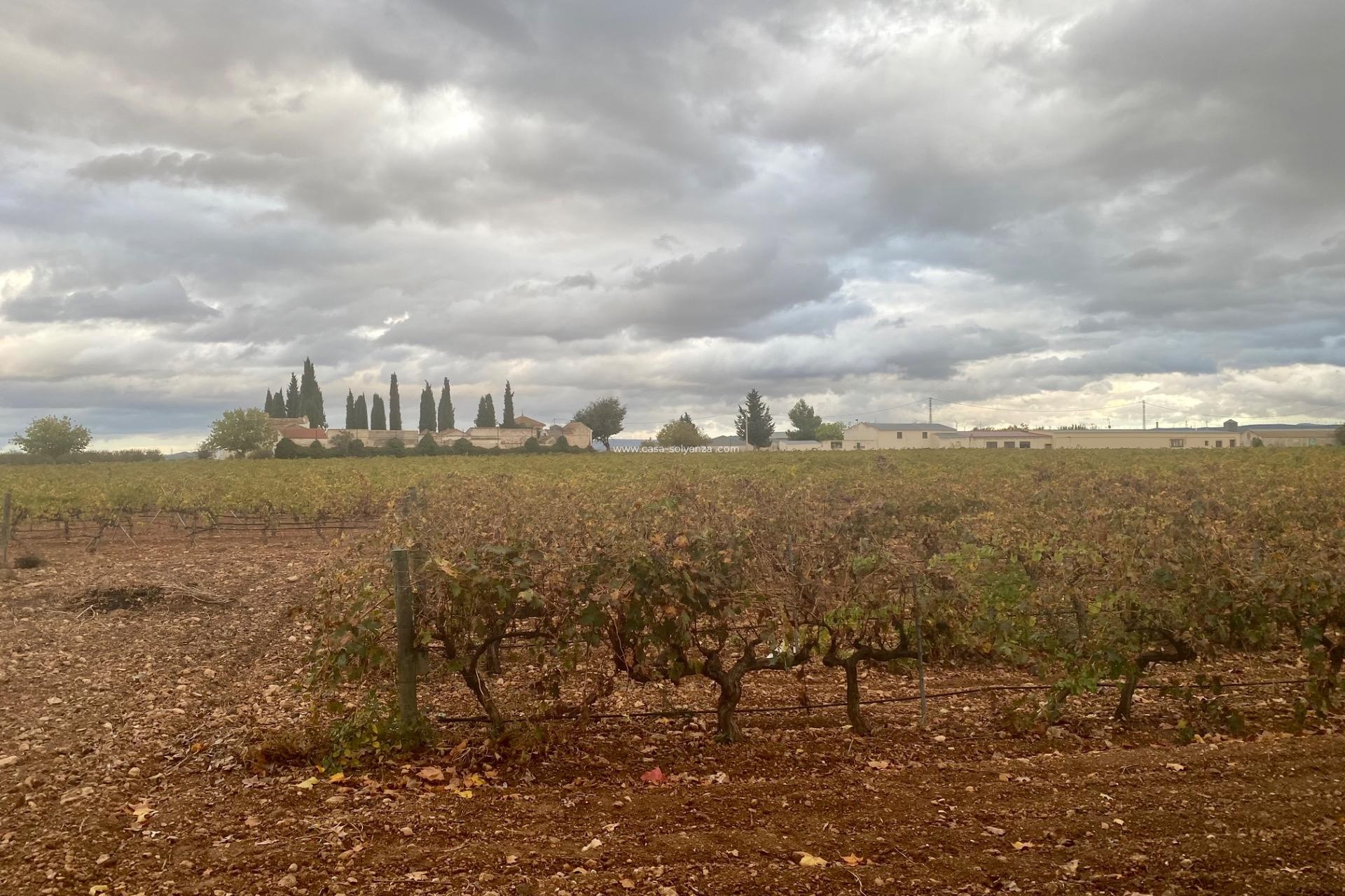 Wiederverkauf - wine cellar - Albacete