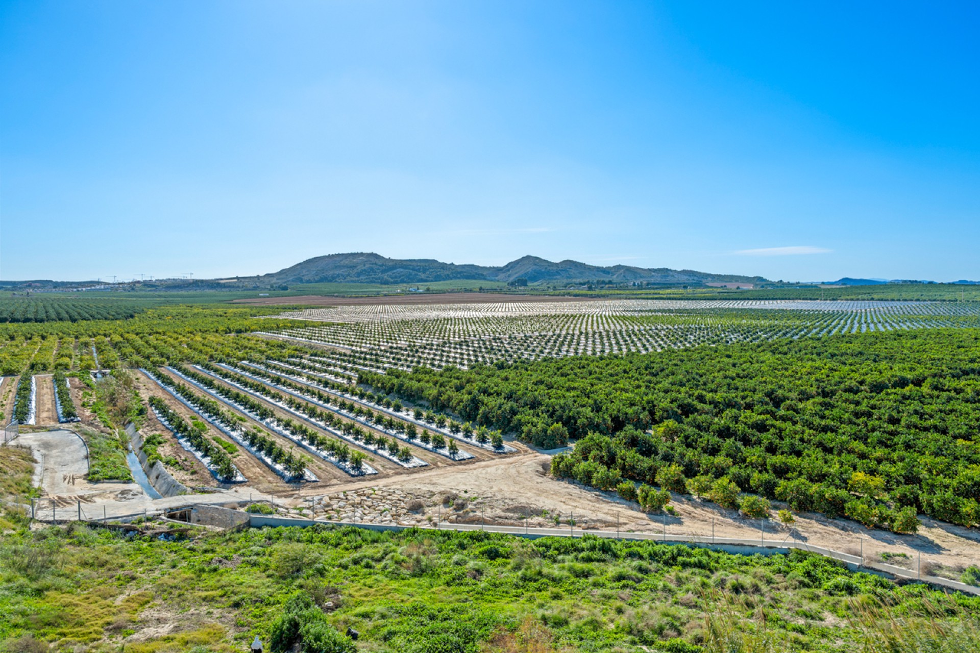 Wiederverkauf - Wohnung - Algorfa - Inland