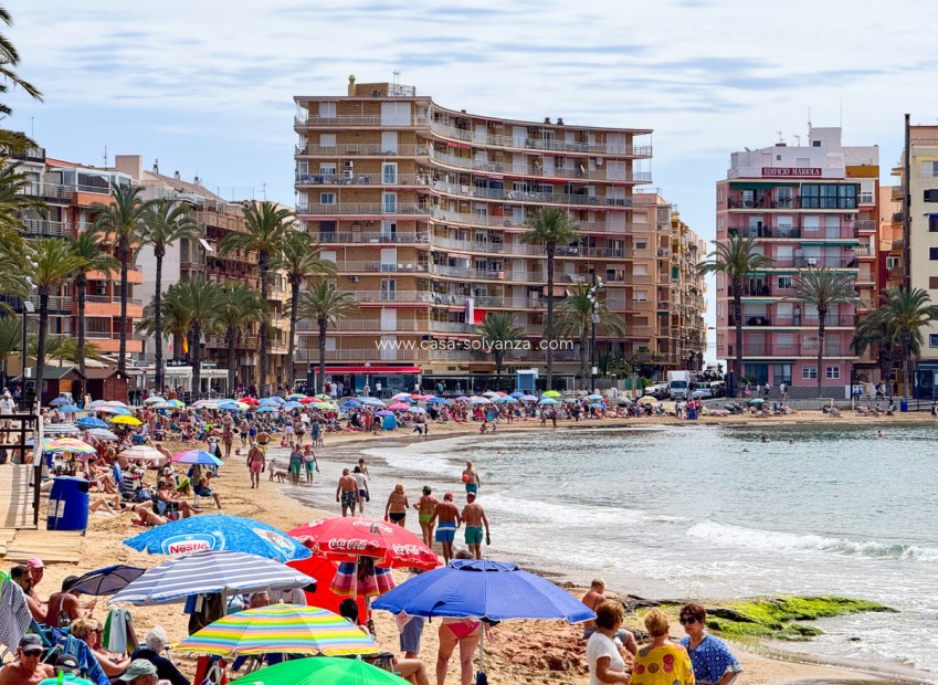 Wiederverkauf - Wohnung - Alicante City - Parque de las Naciones