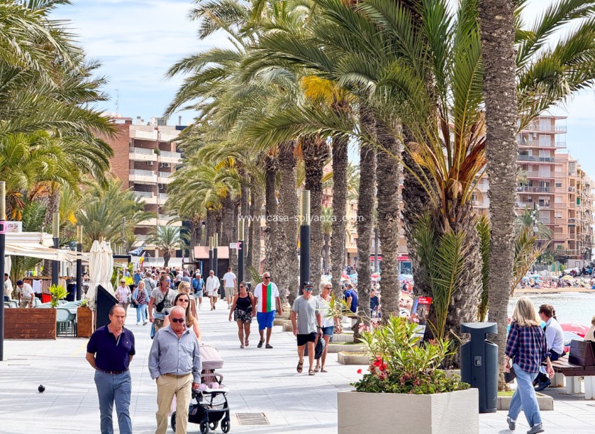 Wiederverkauf - Wohnung - Alicante City - Parque de las Naciones