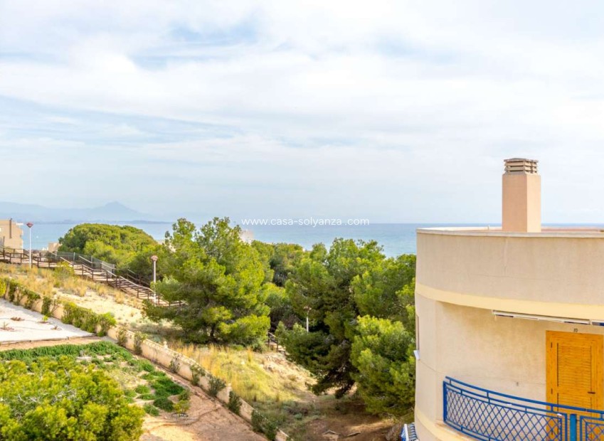 Wiederverkauf - Wohnung - Arenales del Sol - Costa Blanca