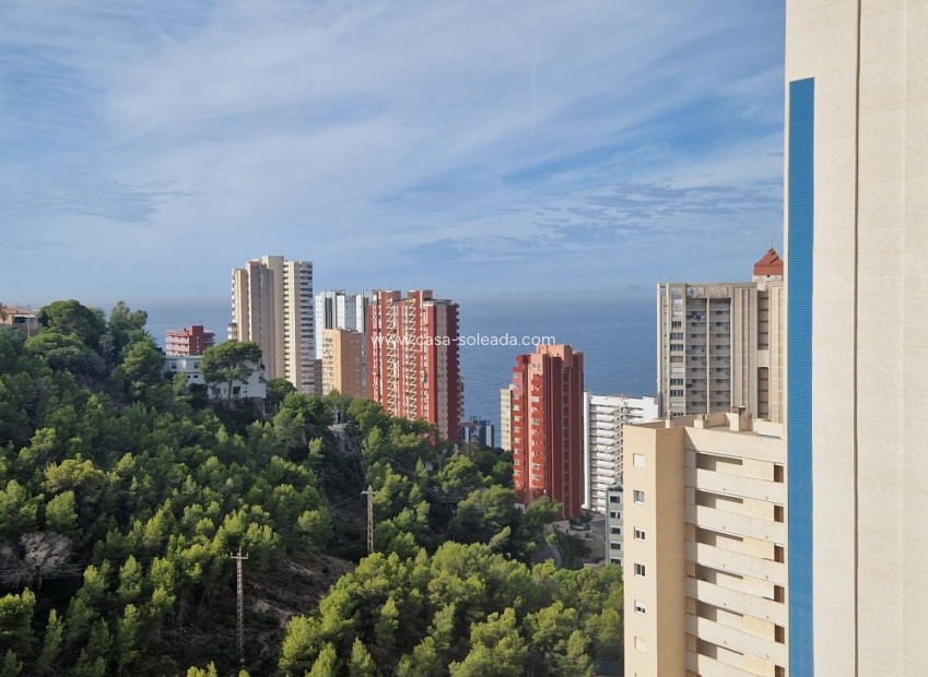 Wiederverkauf - Wohnung - Benidorm - Costa Blanca