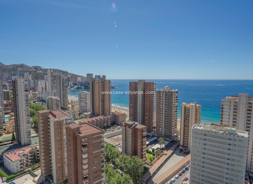 Wiederverkauf - Wohnung - Benidorm