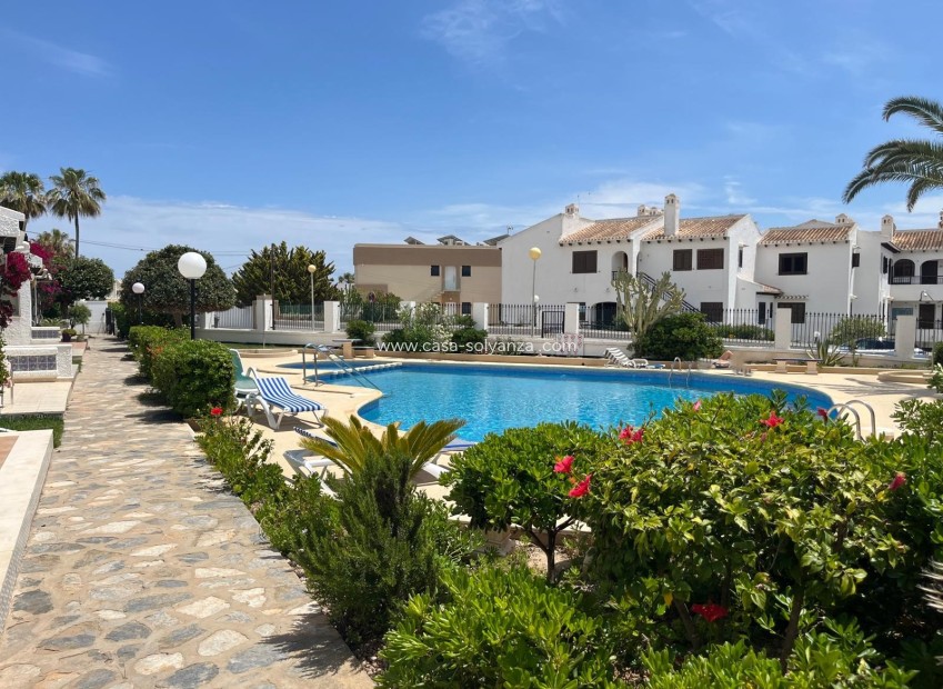 Wiederverkauf - Wohnung - Cabo Roig - Cabo Roig Playa
