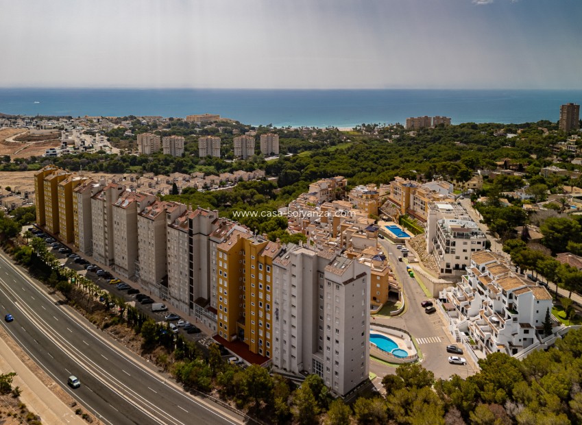 Wiederverkauf - Wohnung - Campoamor - Campoamor beach