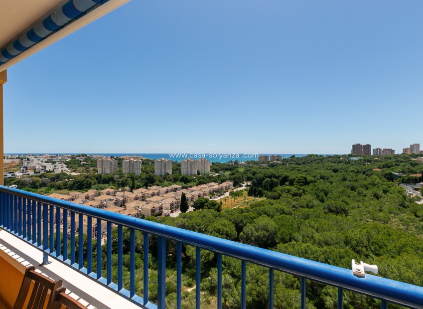 Wiederverkauf - Wohnung - Campoamor - Dehesa de Campoamor