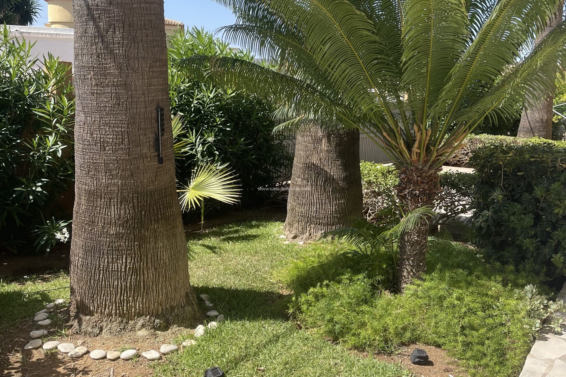Wiederverkauf - Wohnung - Denia - Costa Blanca