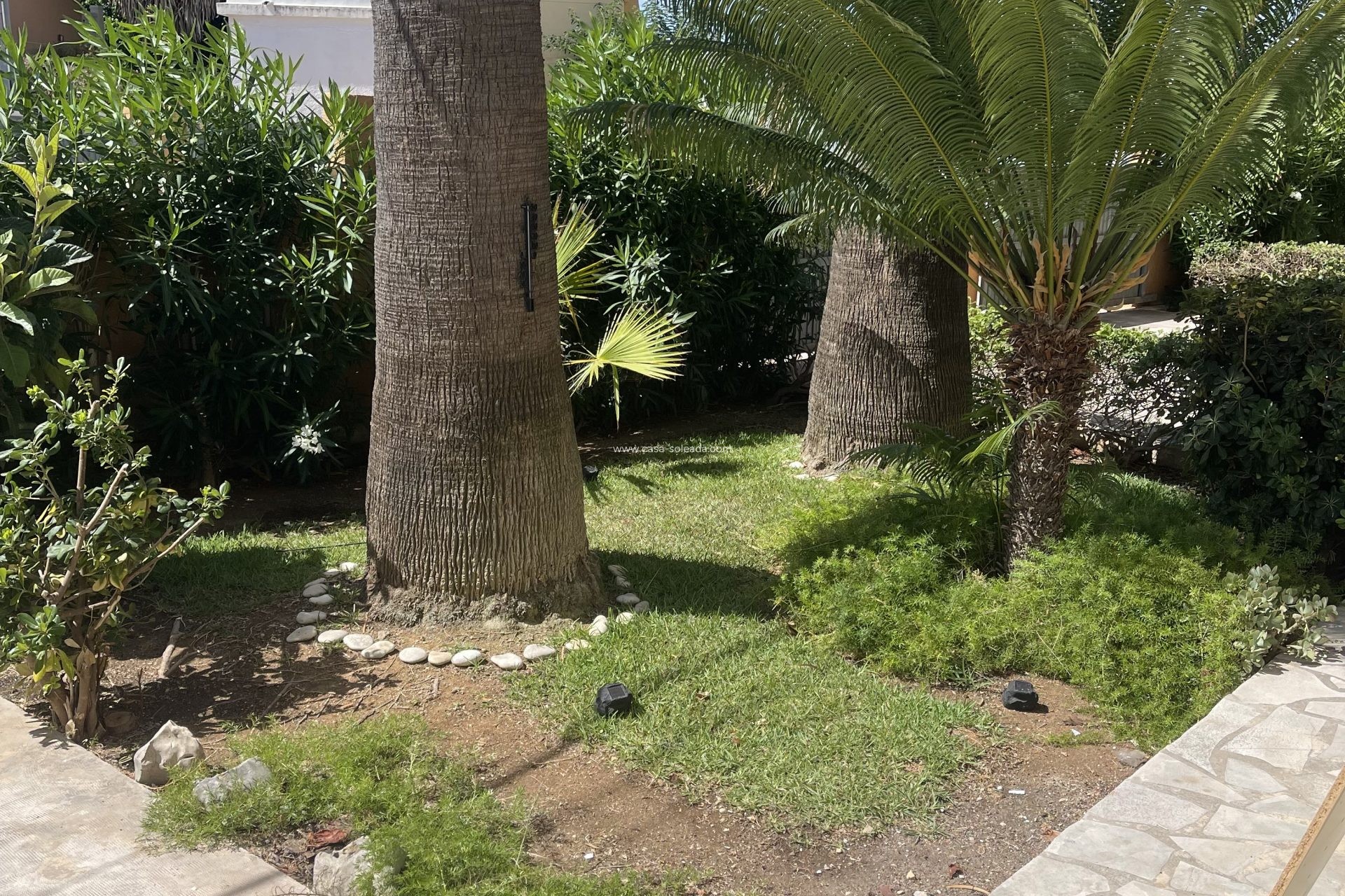 Wiederverkauf - Wohnung - Denia - Costa Blanca