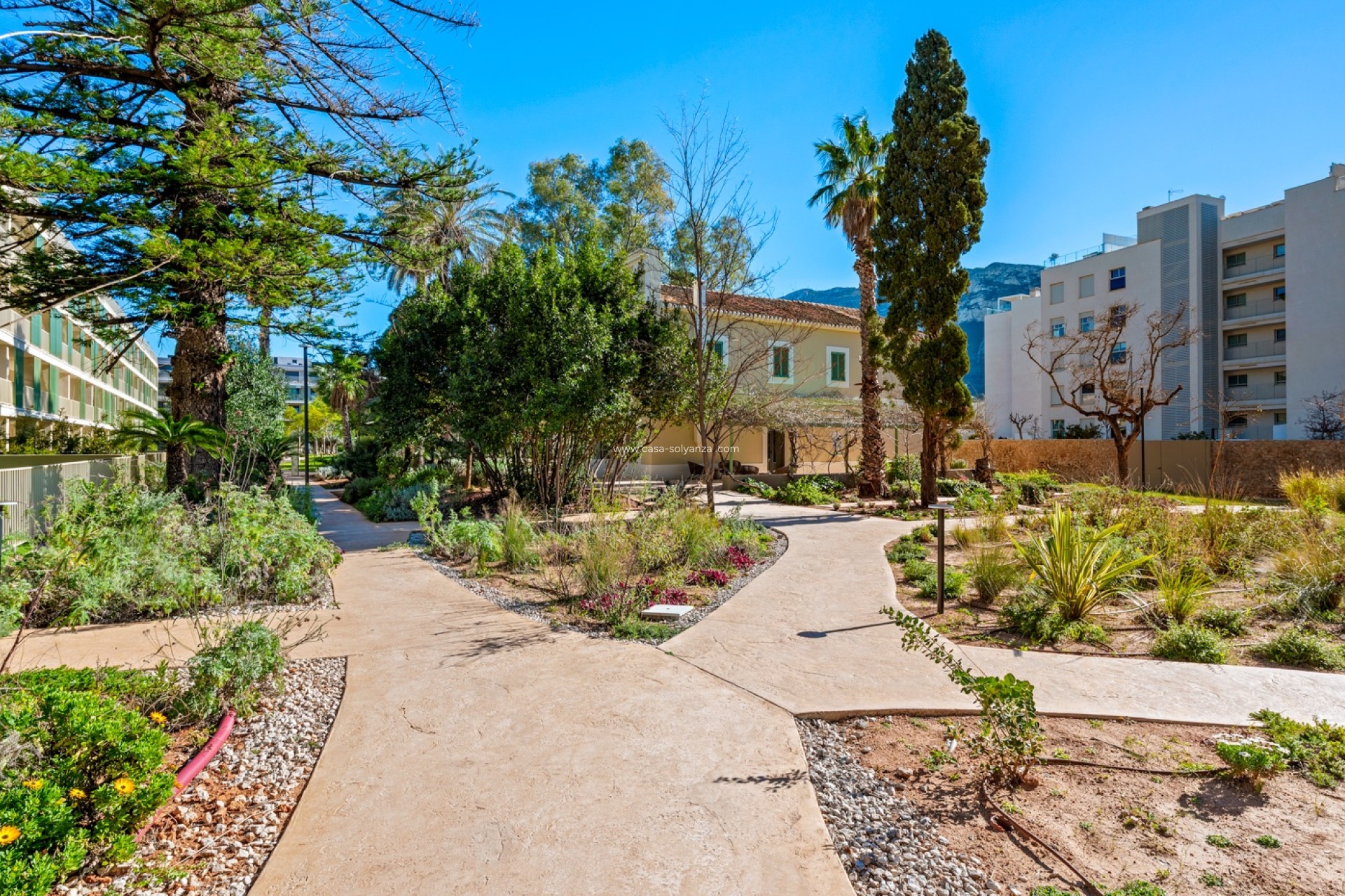 Wiederverkauf - Wohnung - Denia - Puerto