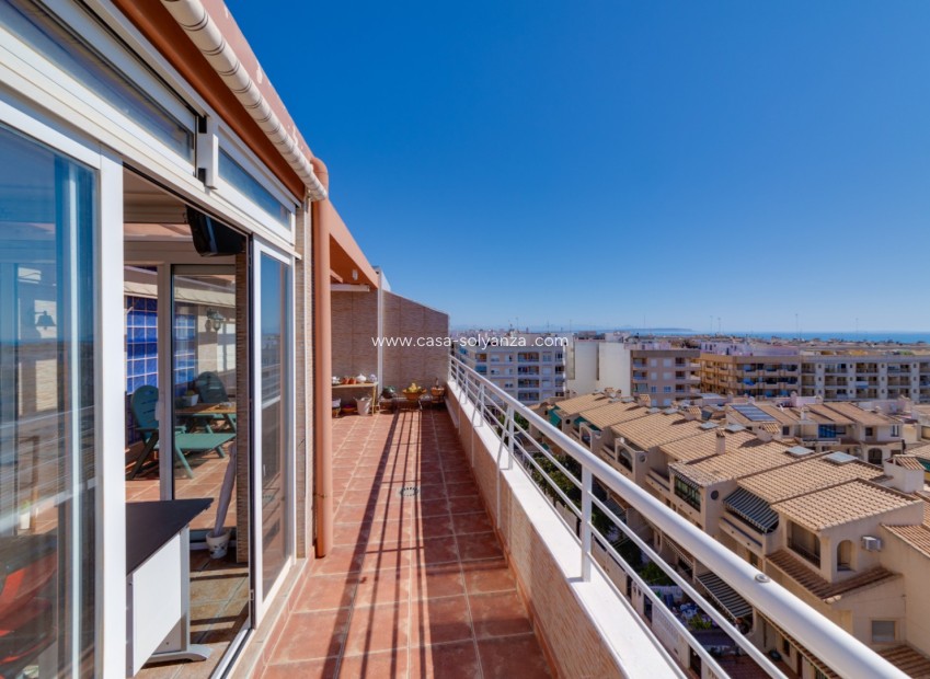 Wiederverkauf - Wohnung - Guardamar del Segura - Costa Blanca