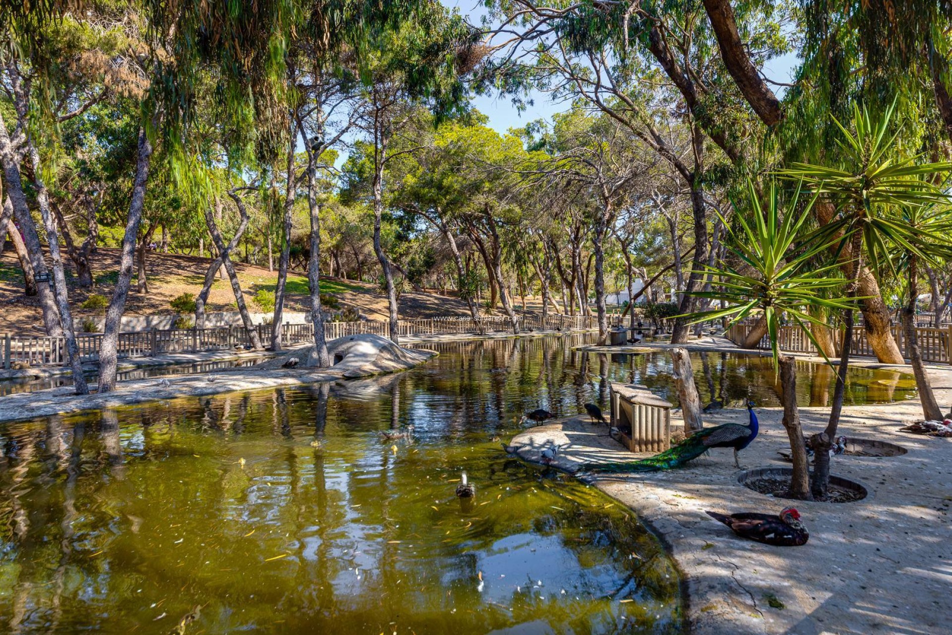 Wiederverkauf - Wohnung - Guardamar del Segura - Costa Blanca