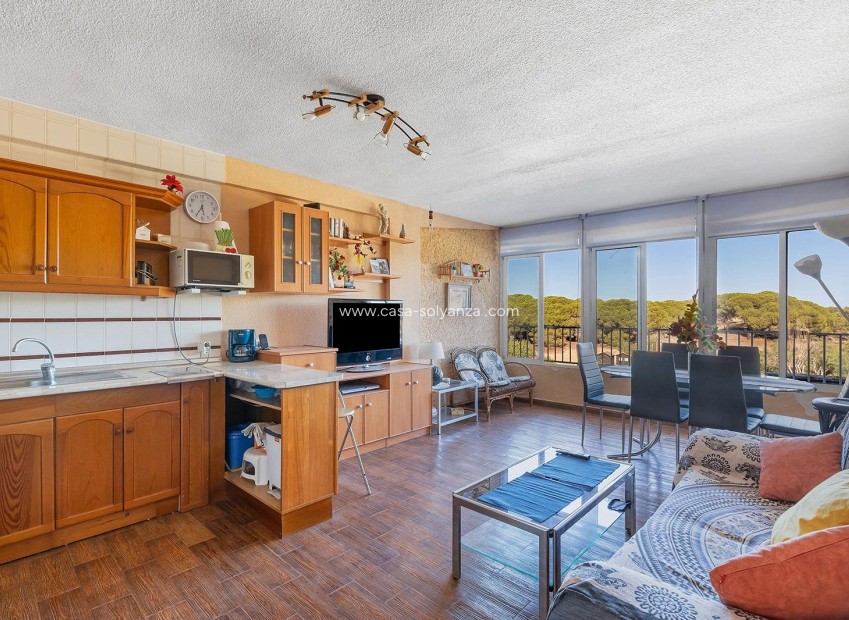 Wiederverkauf - Wohnung - Guardamar del Segura - Costa Blanca