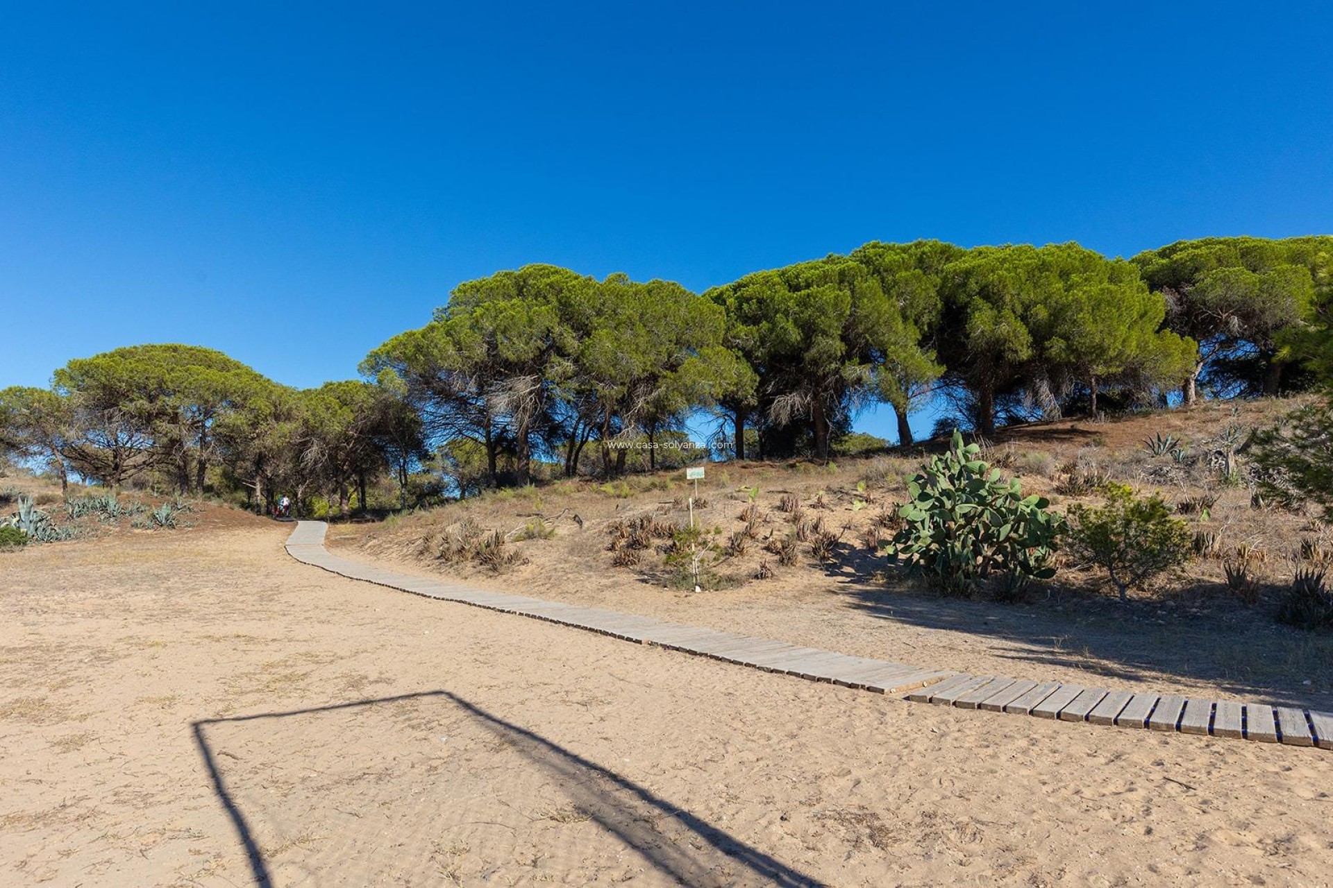 Wiederverkauf - Wohnung - Guardamar del Segura - Costa Blanca