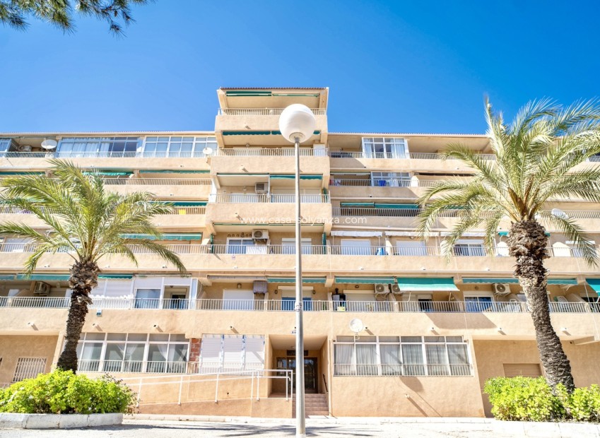 Wiederverkauf - Wohnung - Guardamar del Segura - Costa Blanca