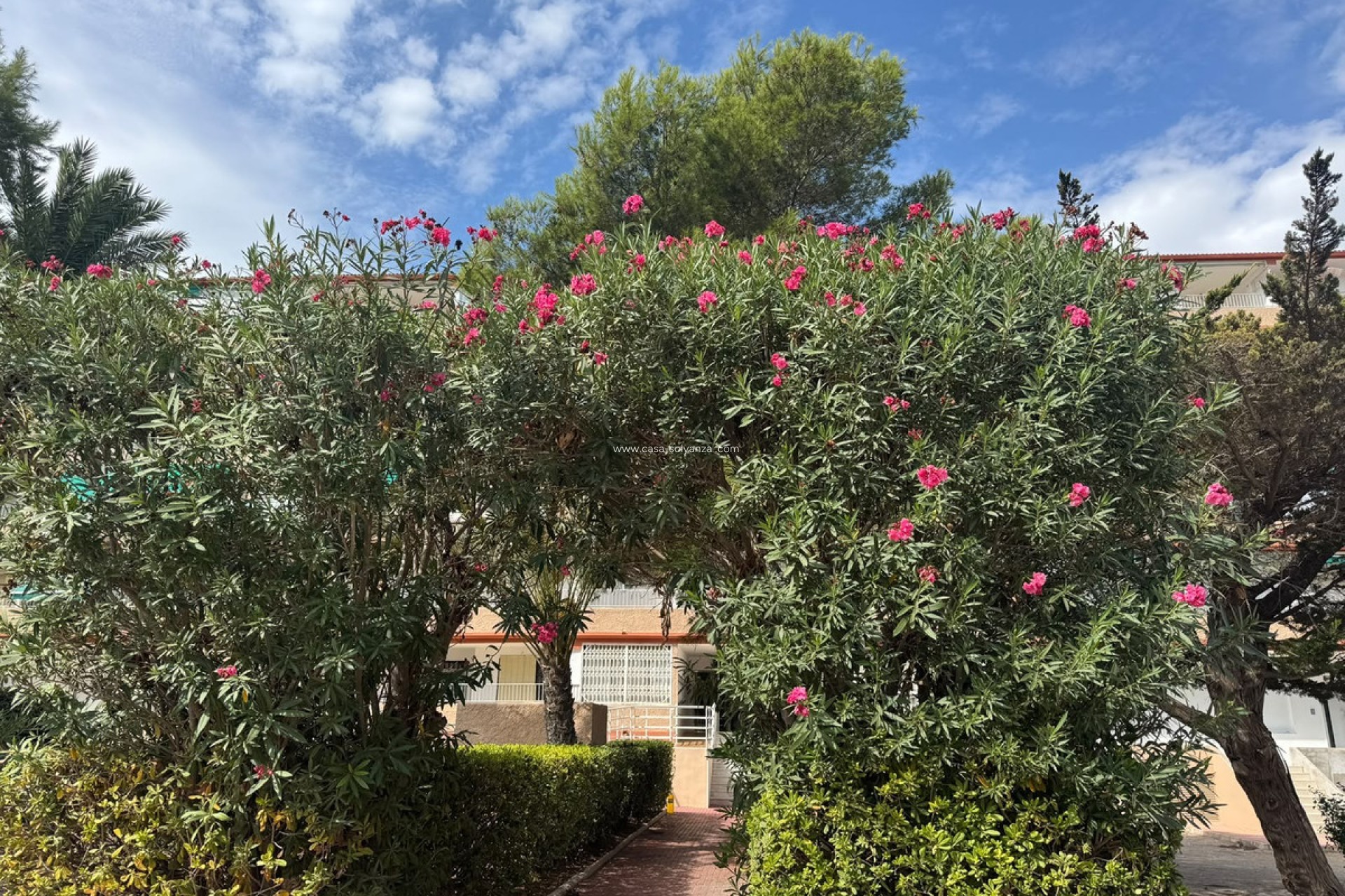 Wiederverkauf - Wohnung - Guardamar del Segura - Guardamar del Segura Centro
