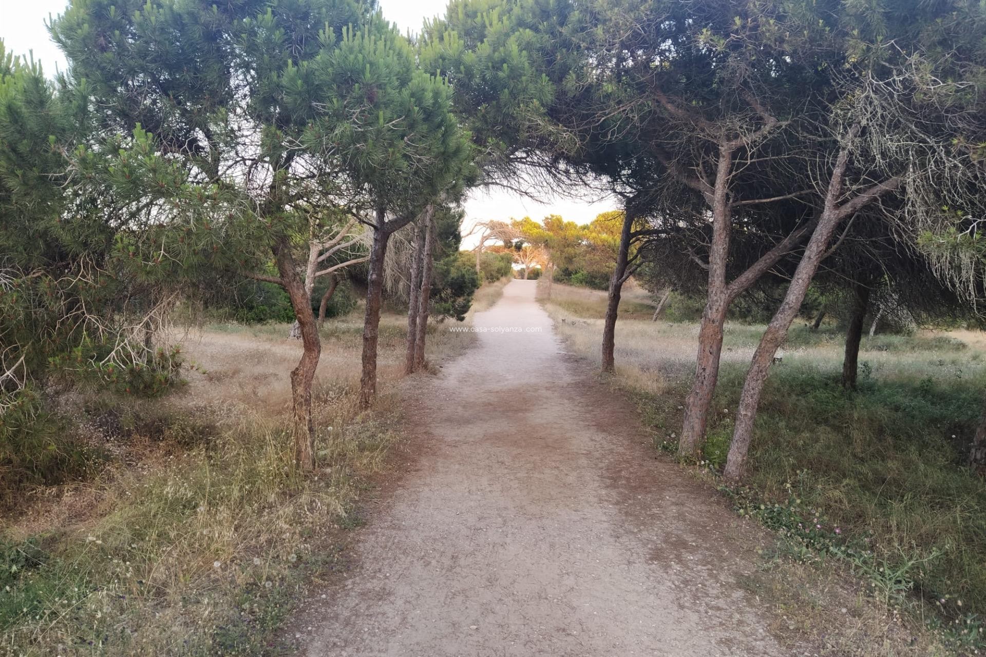 Wiederverkauf - Wohnung - Guardamar del Segura - Pinomar