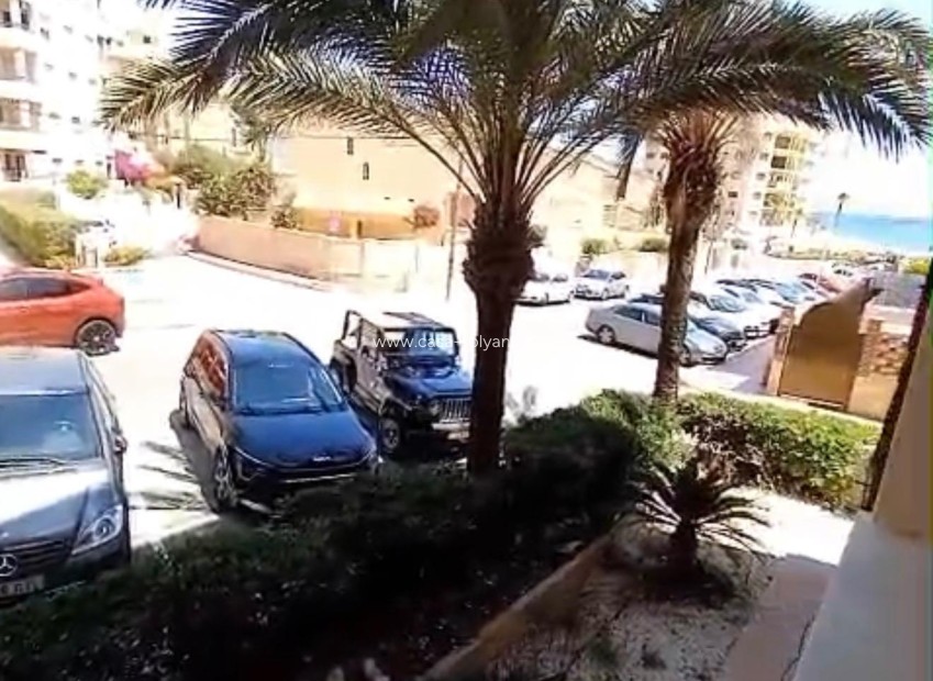 Wiederverkauf - Wohnung - Guardamar del Segura