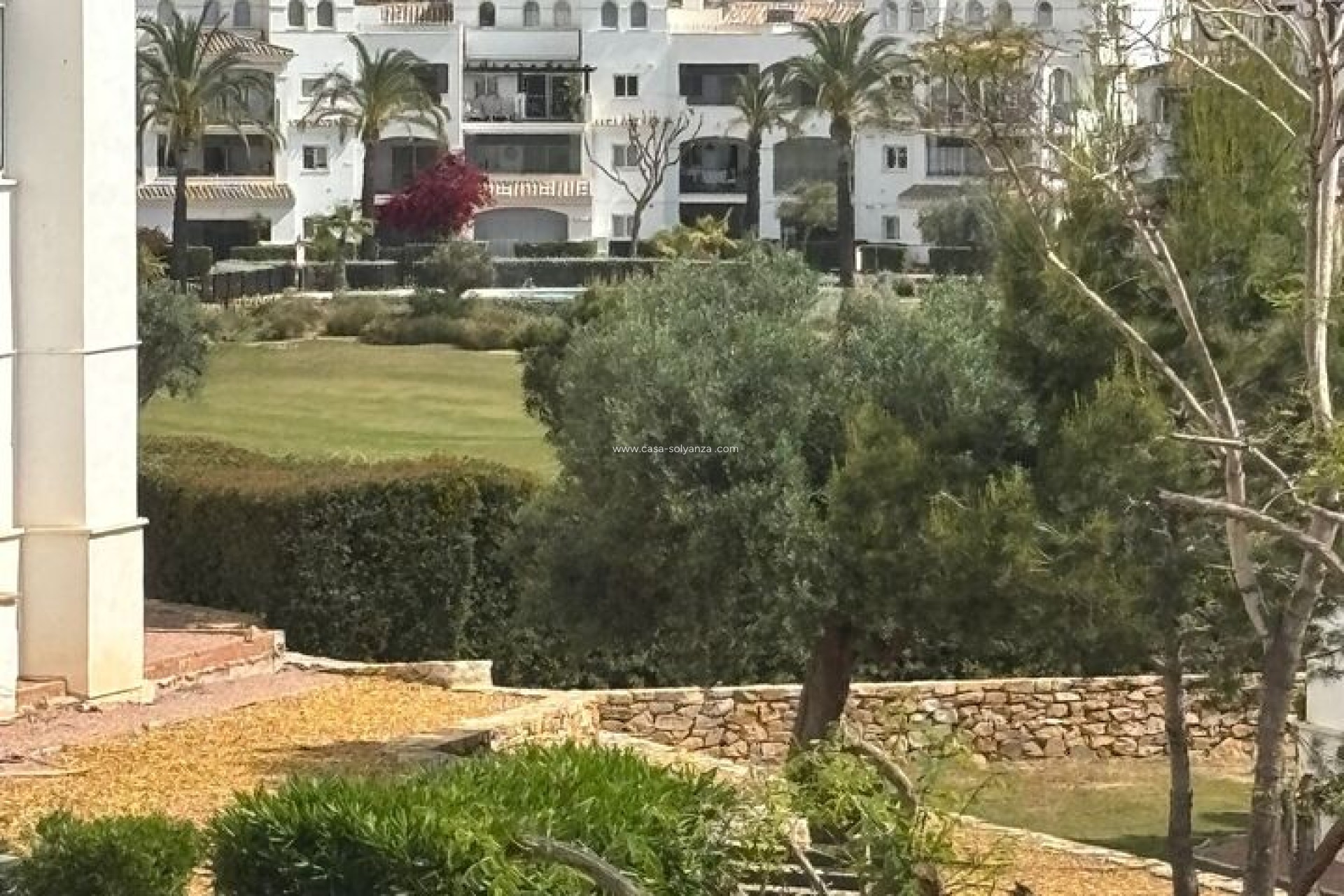 Wiederverkauf - Wohnung - Hacienda Riquelme Golf Resort - Inland