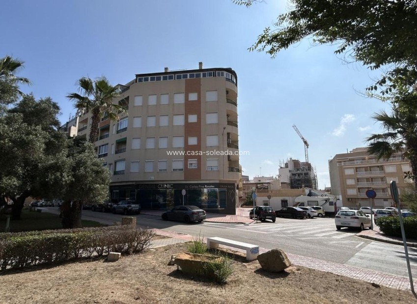 Wiederverkauf - Wohnung - La Mata - Costa Blanca