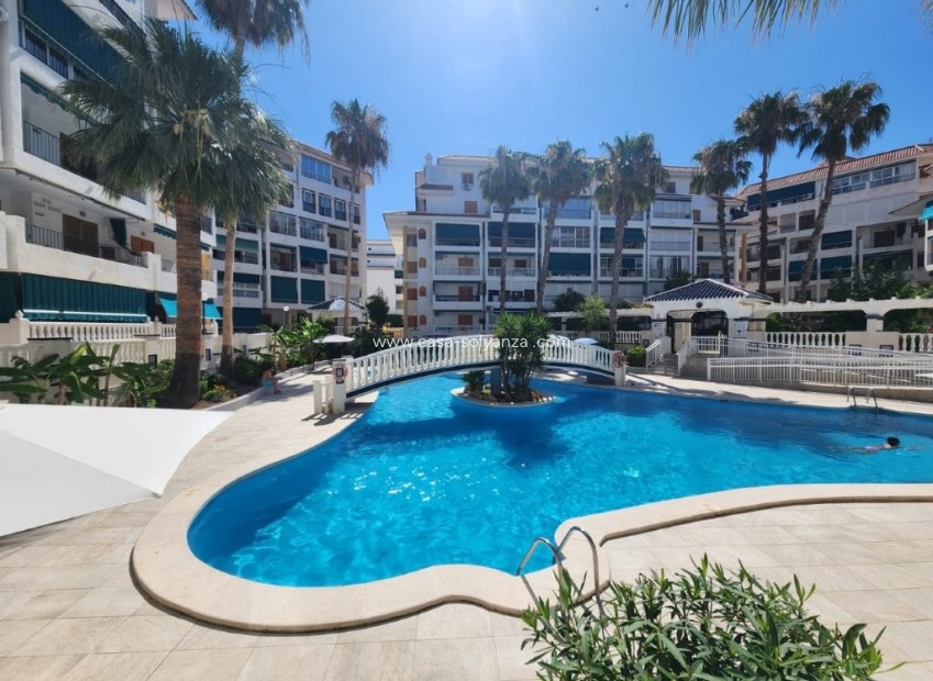 Wiederverkauf - Wohnung - La Mata - Costa Blanca