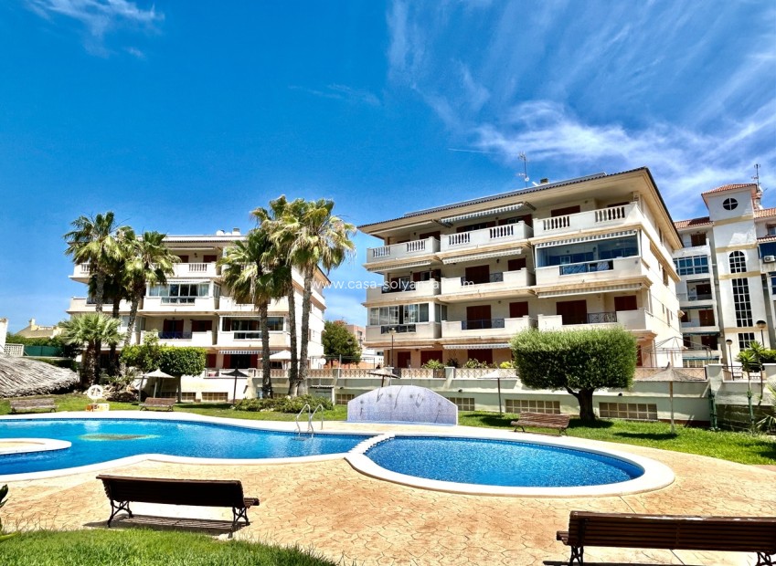 Wiederverkauf - Wohnung - La Mata - Costa Blanca