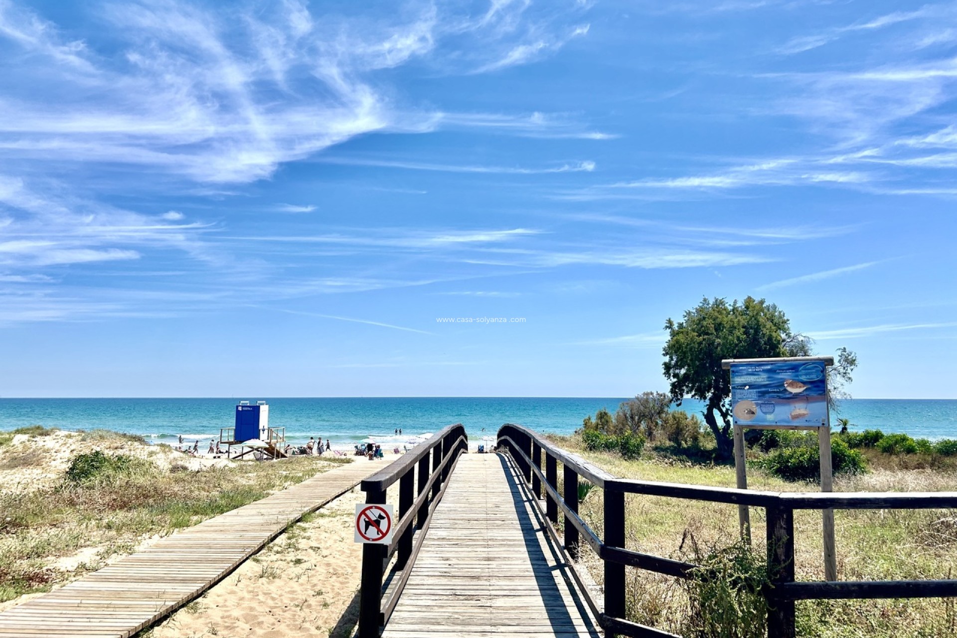 Wiederverkauf - Wohnung - La Mata - Costa Blanca