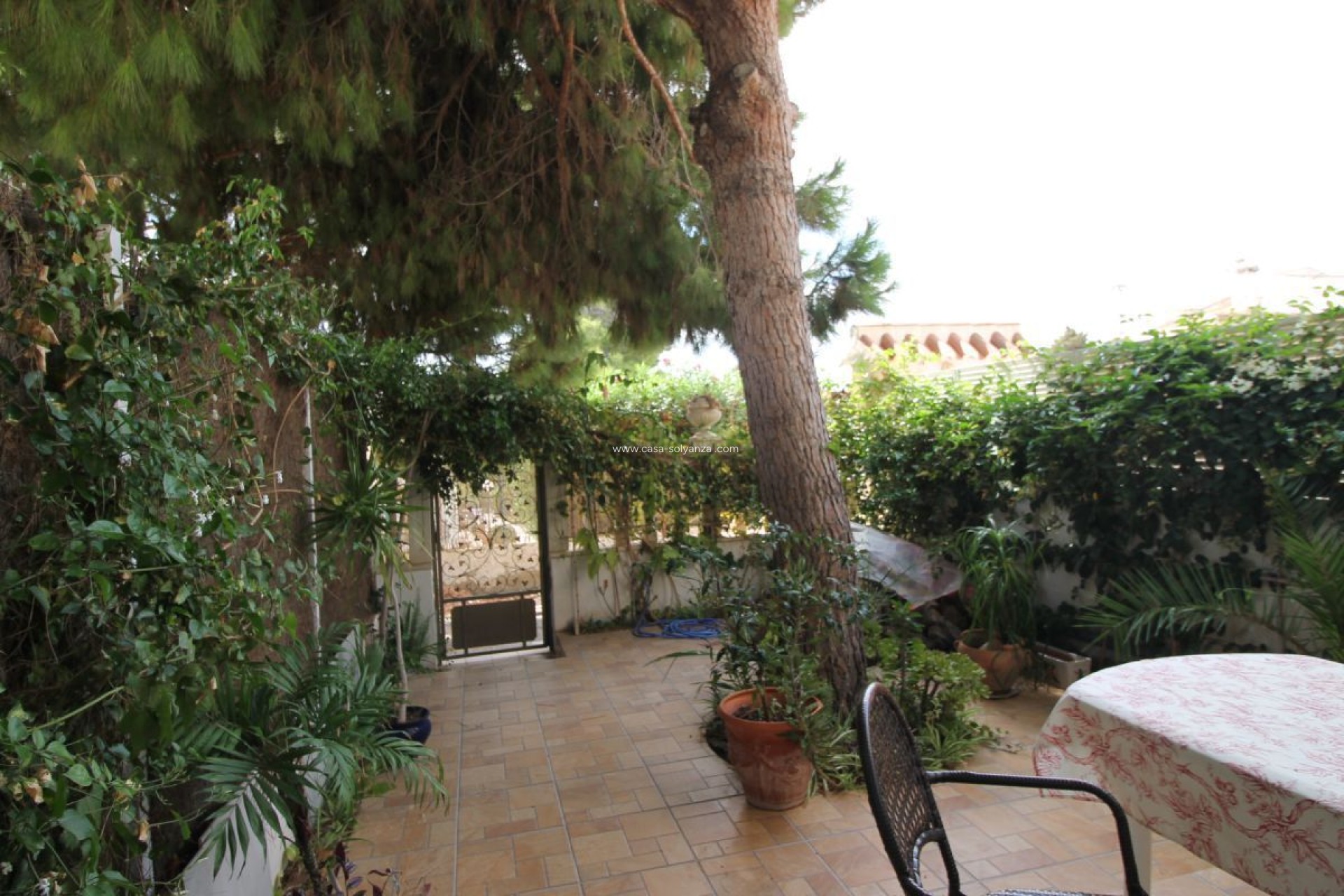 Wiederverkauf - Wohnung - La Zenia - Costa Blanca