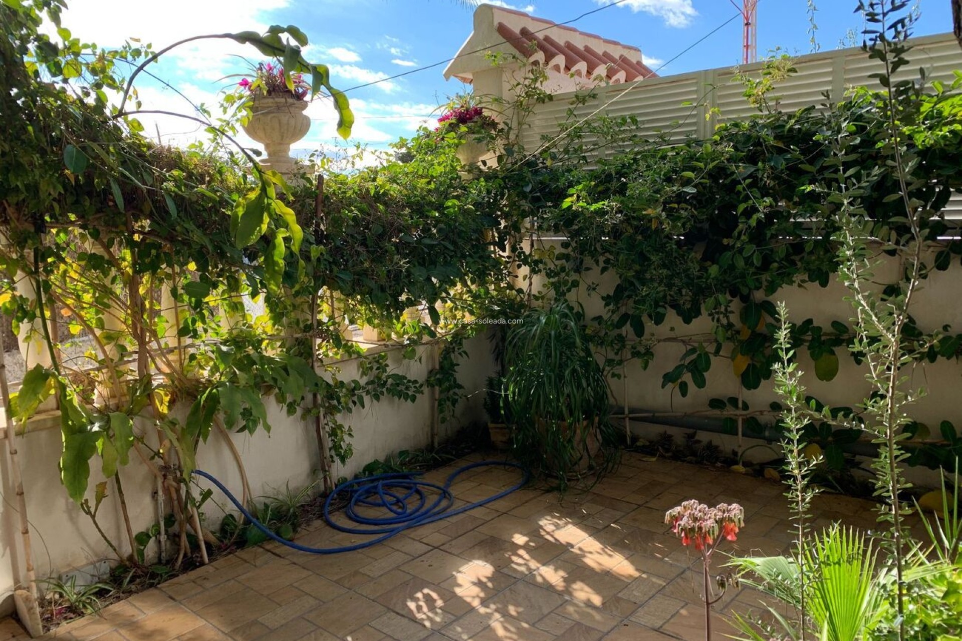 Wiederverkauf - Wohnung - La Zenia - Costa Blanca