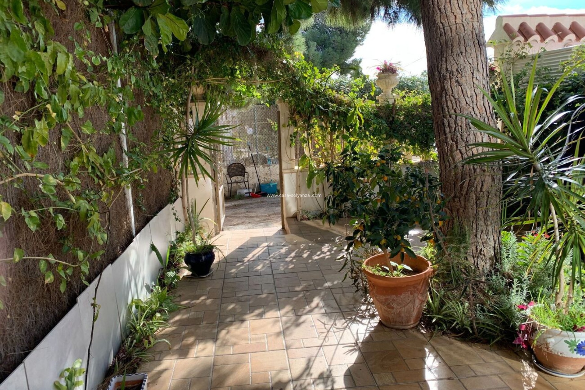 Wiederverkauf - Wohnung - La Zenia - Costa Blanca