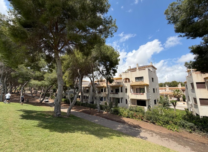 Wiederverkauf - Wohnung - Las Ramblas - Orihuela Costa