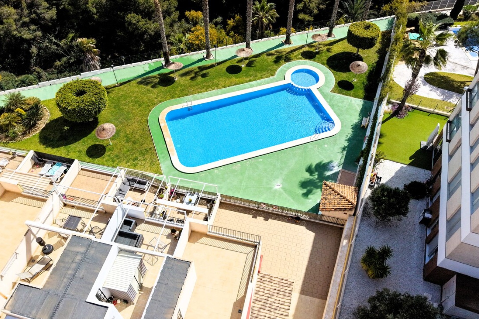 Wiederverkauf - Wohnung - Los Dolses - Costa Blanca