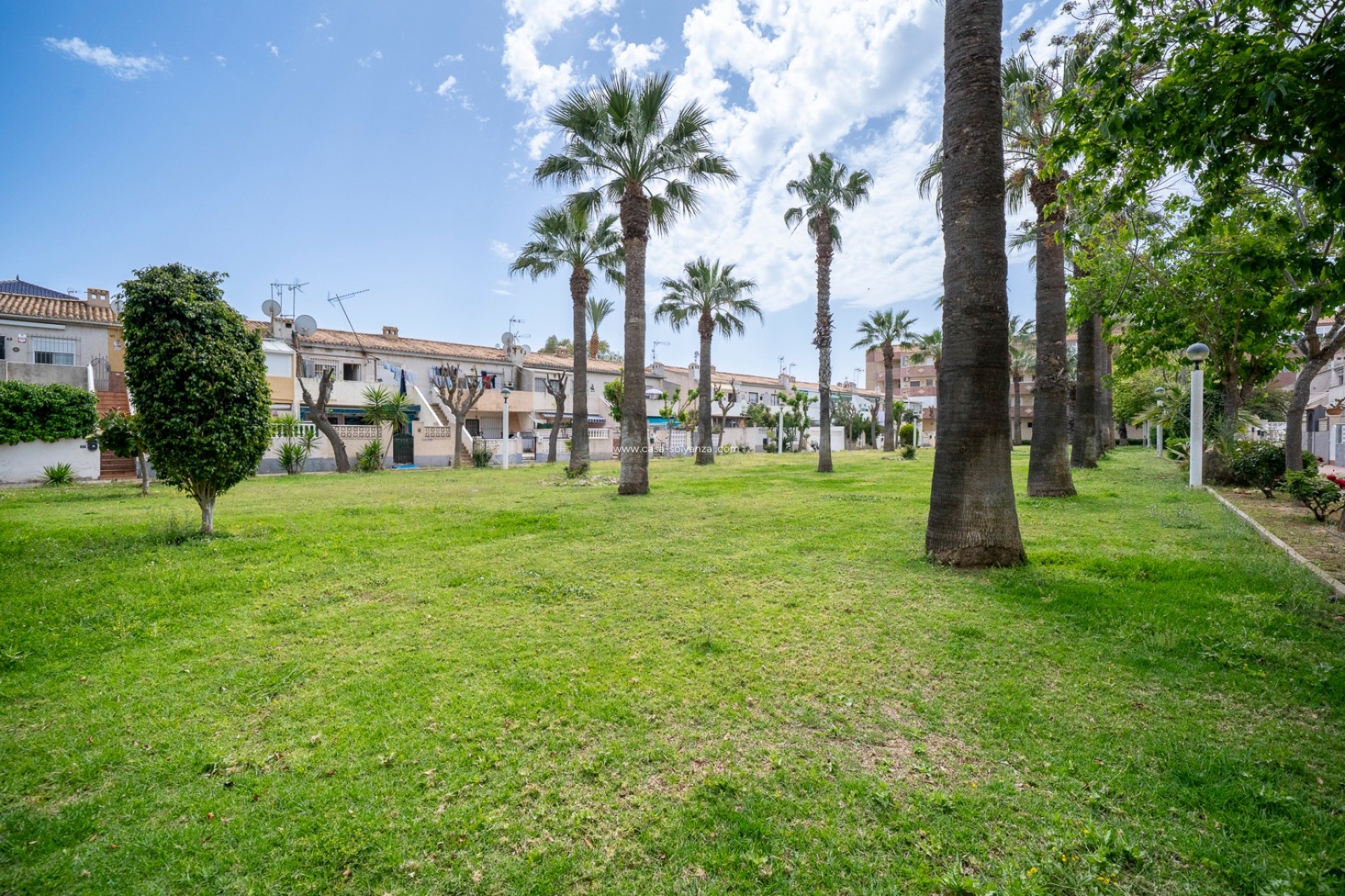 Wiederverkauf - Wohnung - Orihuela Costa - Cabo Roig
