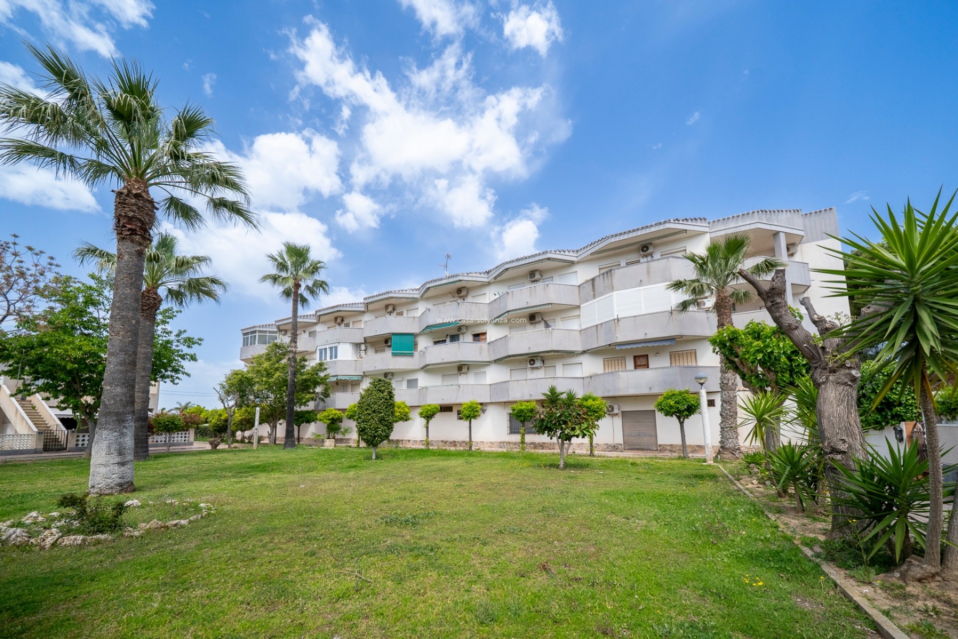 Wiederverkauf - Wohnung - Orihuela Costa - Cabo Roig