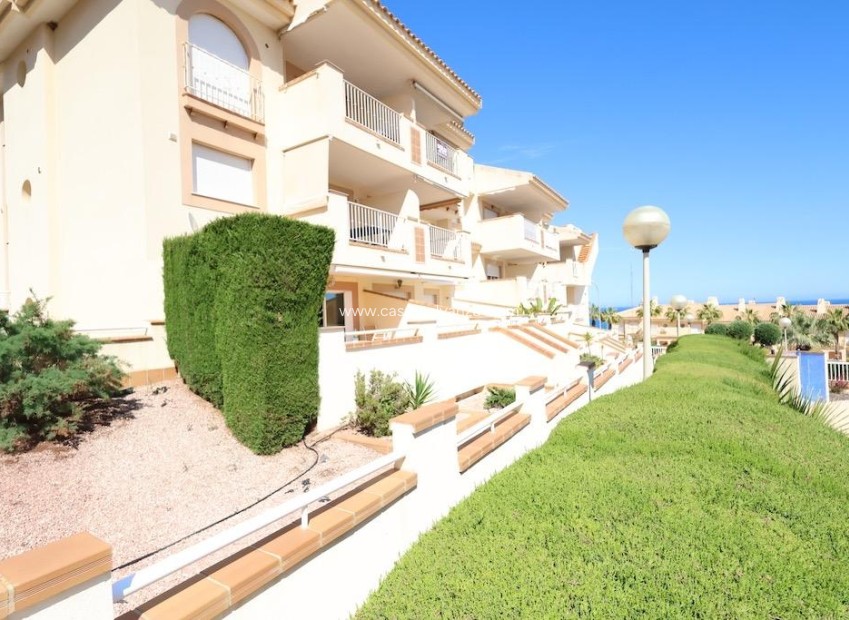 Wiederverkauf - Wohnung - Orihuela Costa - Campoamor