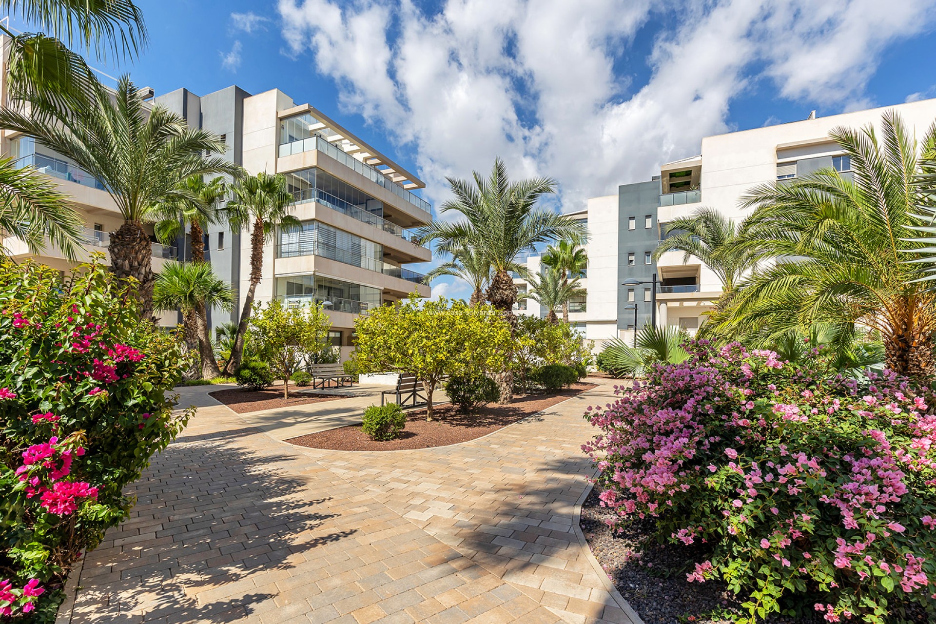 Wiederverkauf - Wohnung - Orihuela Costa - Costa Blanca