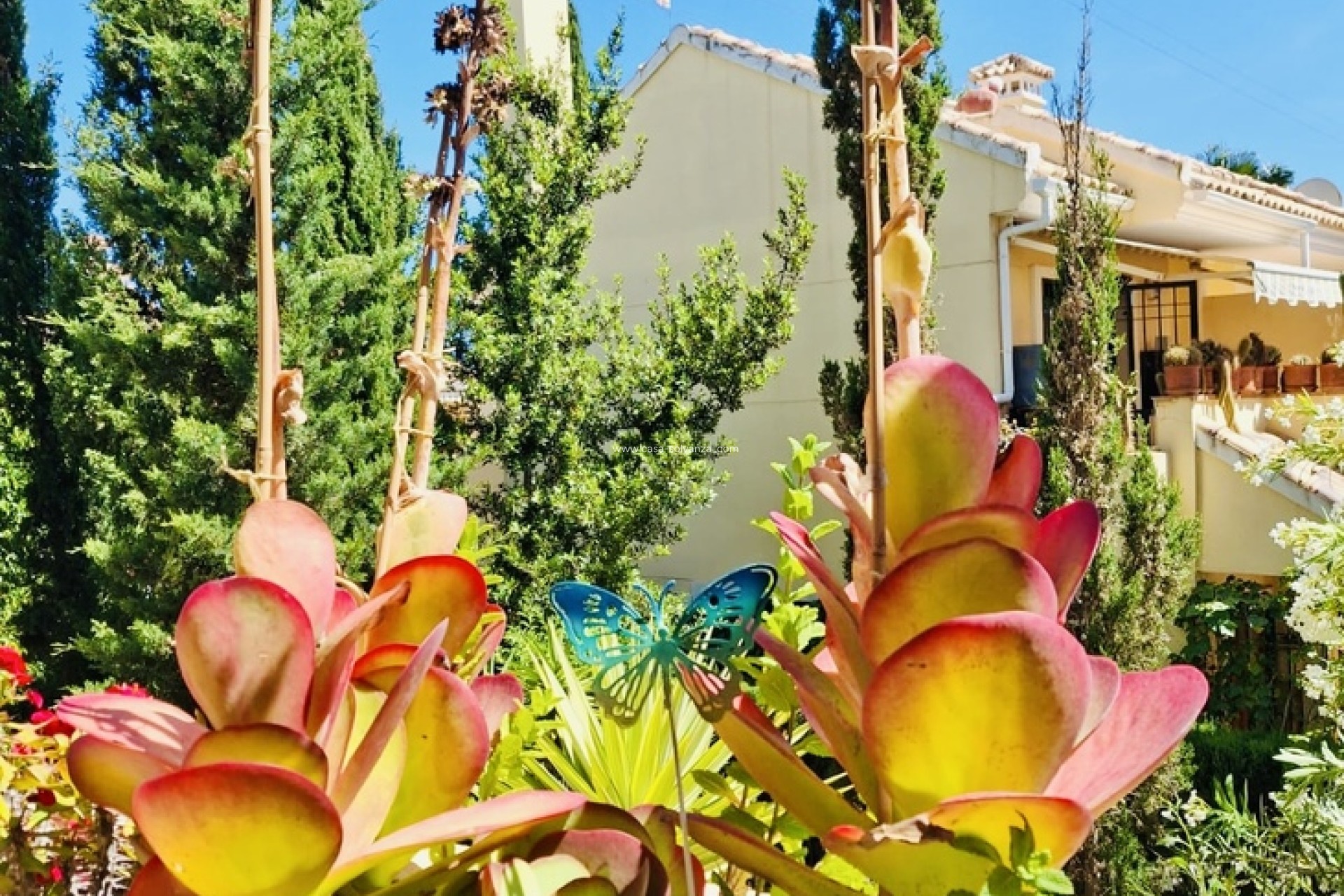 Wiederverkauf - Wohnung - Orihuela Costa - Costa Blanca