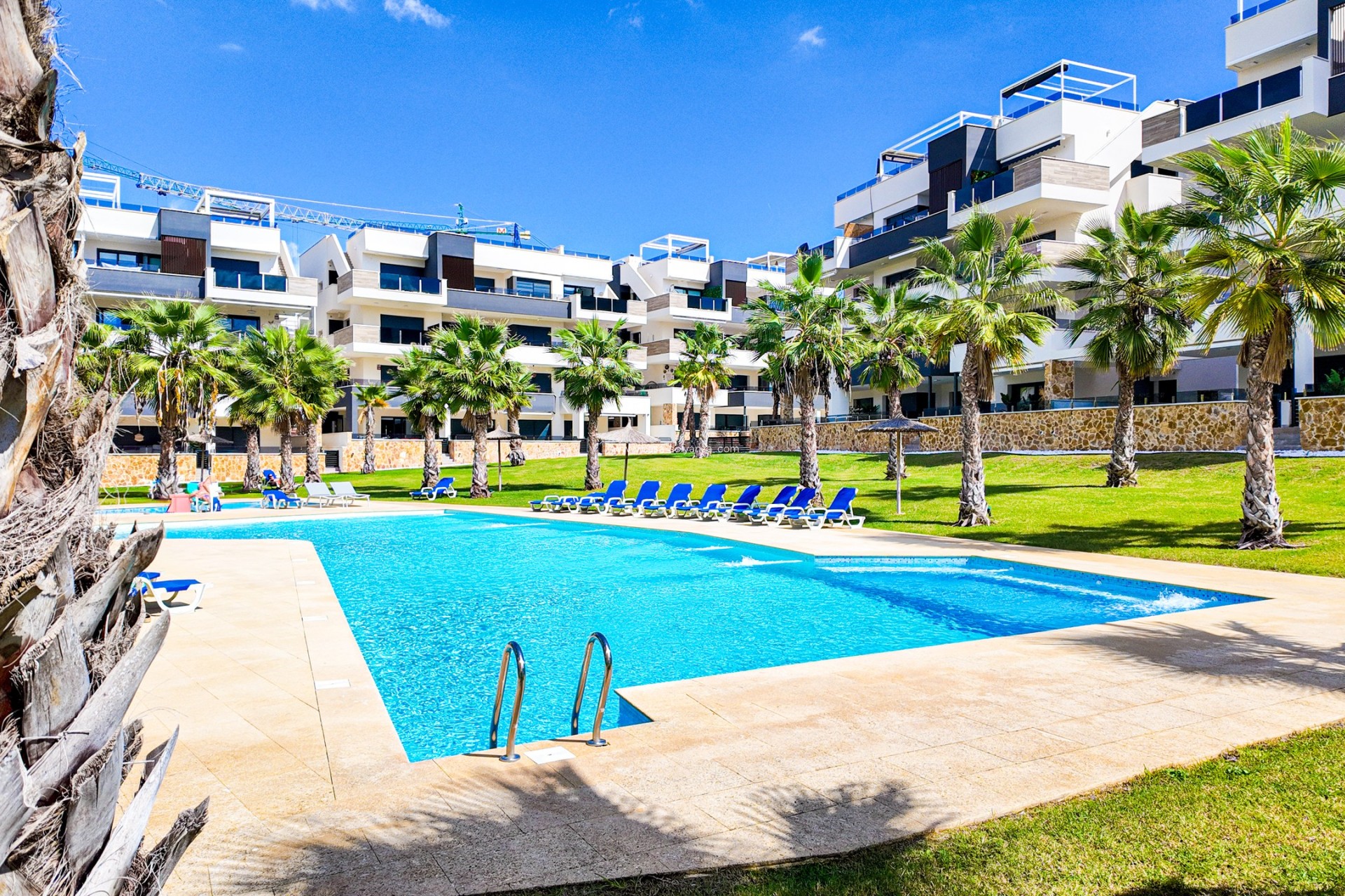 Wiederverkauf - Wohnung - Orihuela Costa - Costa Blanca