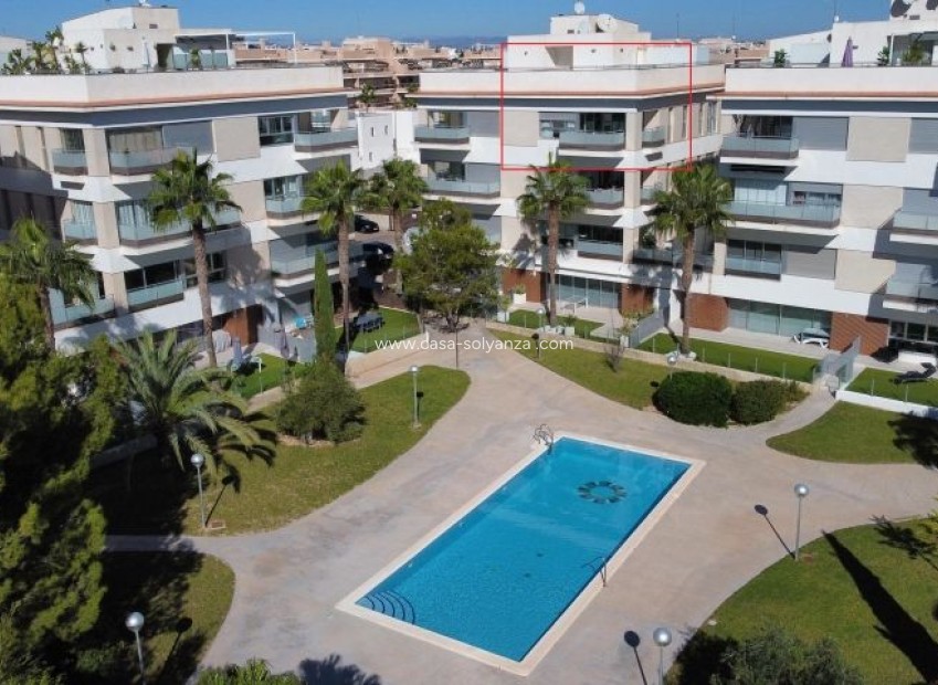 Wiederverkauf - Wohnung - Orihuela Costa - Costa Blanca