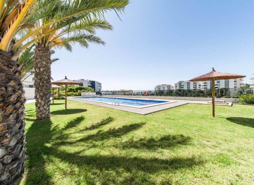Wiederverkauf - Wohnung - Orihuela Costa - Costa Blanca