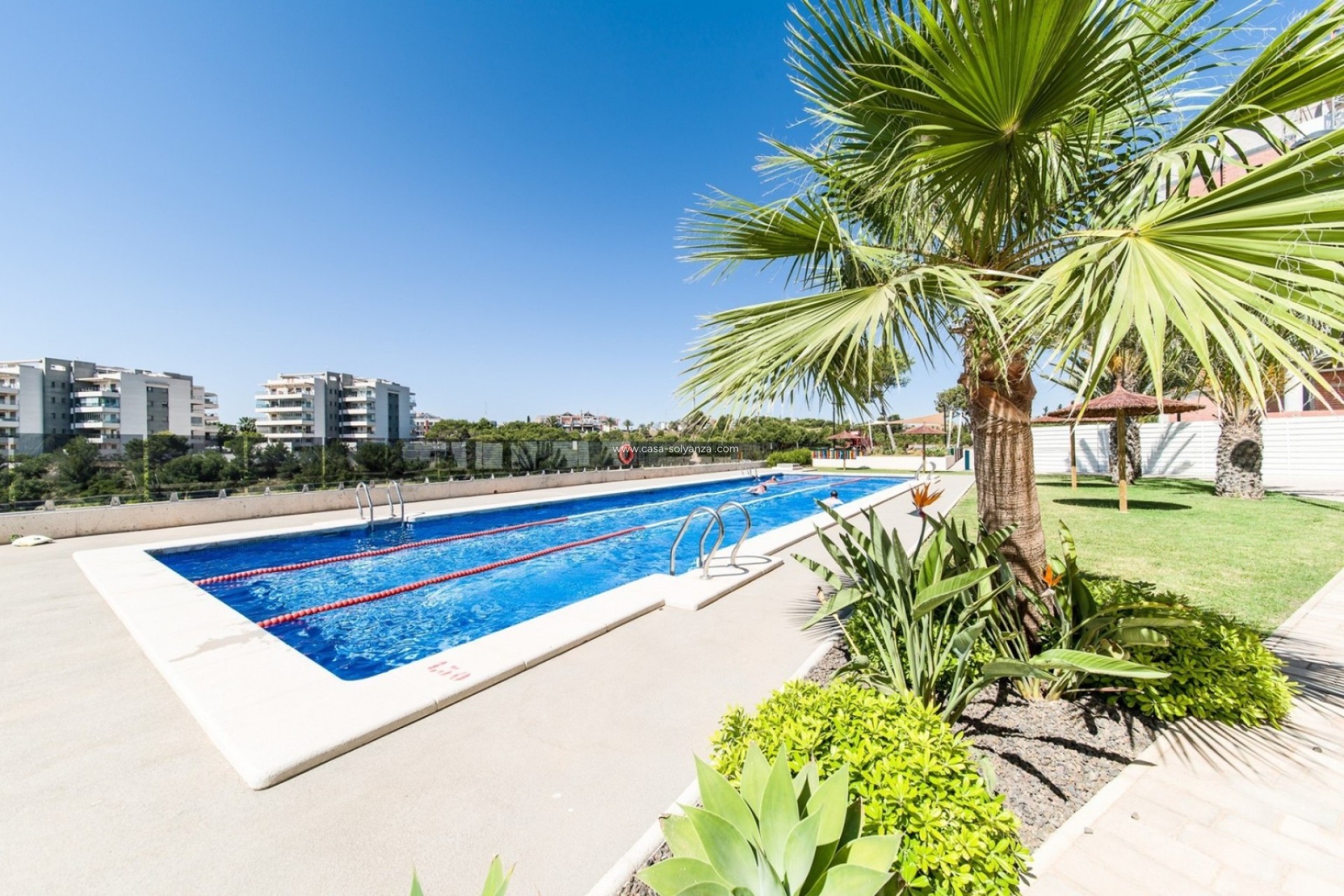 Wiederverkauf - Wohnung - Orihuela Costa - Costa Blanca
