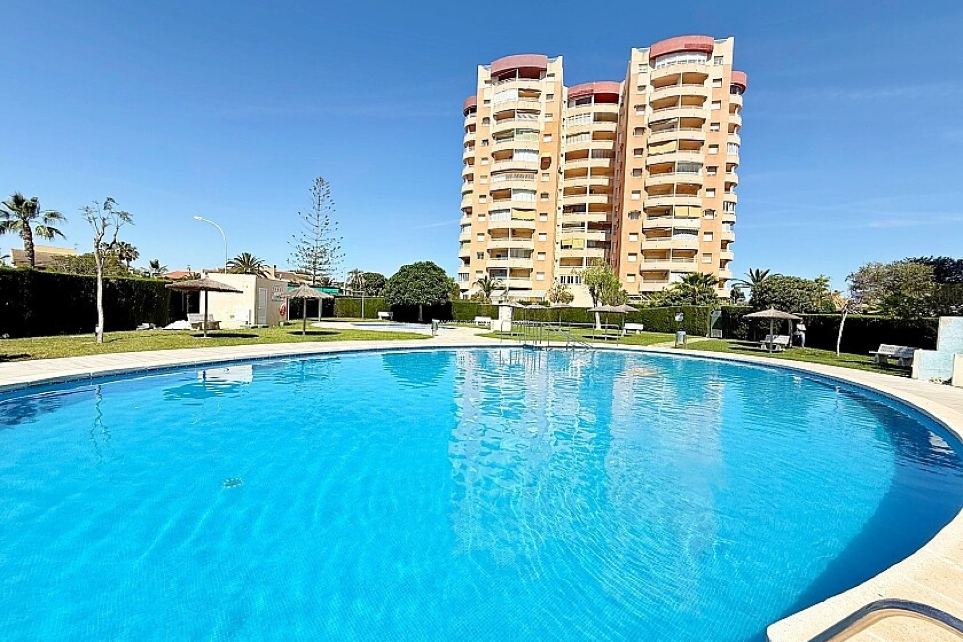 Wiederverkauf - Wohnung - Orihuela Costa - Dehesa De Campoamor