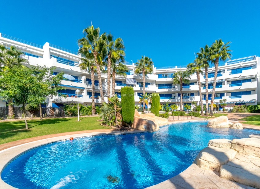Wiederverkauf - Wohnung - Orihuela Costa - La Calma