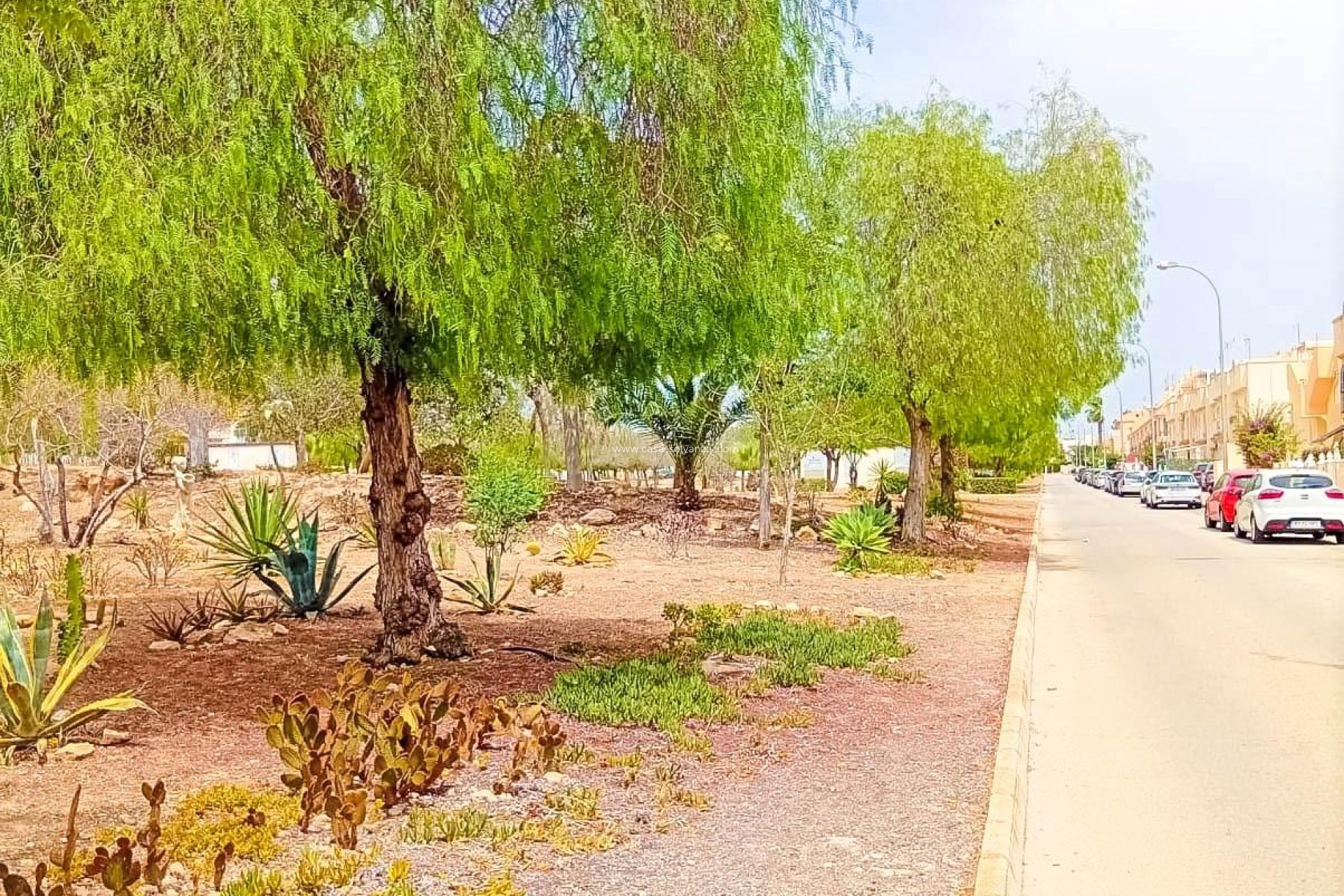 Wiederverkauf - Wohnung - Orihuela Costa - La Florida