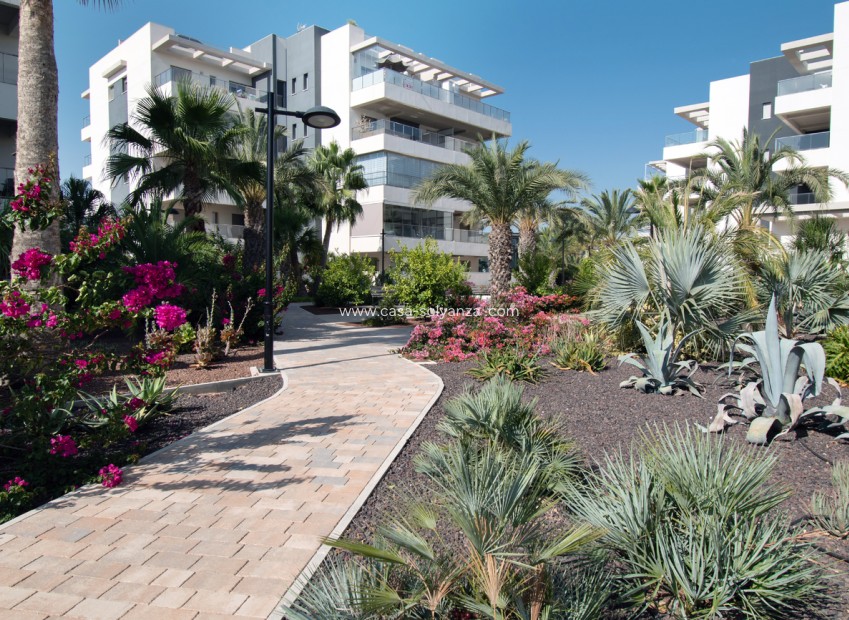 Wiederverkauf - Wohnung - Orihuela Costa - Los Dolses