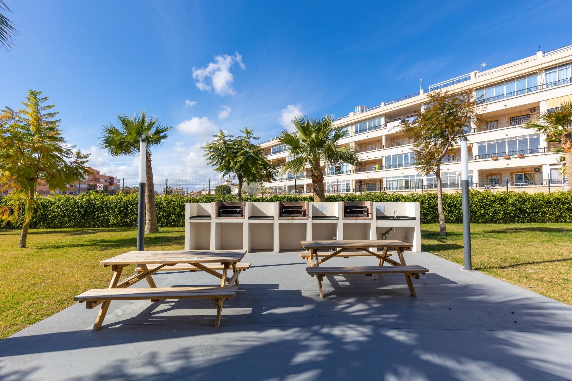 Wiederverkauf - Wohnung - Orihuela Costa - Playa Flamenca